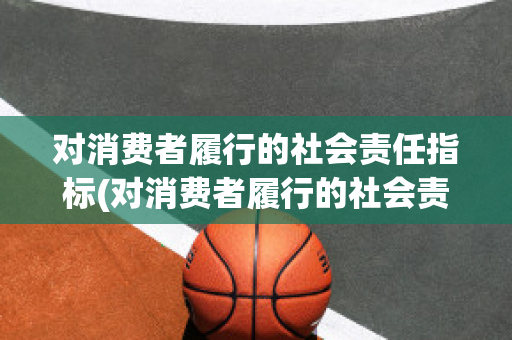 对消费者履行的社会责任指标(对消费者履行的社会责任指标包括)