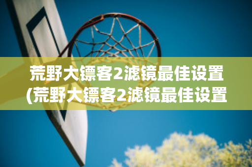 荒野大镖客2滤镜最佳设置(荒野大镖客2滤镜最佳设置在哪)