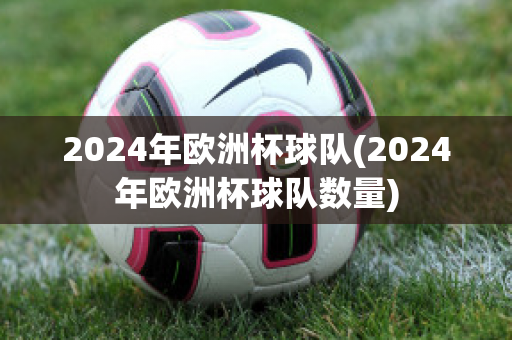 2024年欧洲杯球队(2024年欧洲杯球队数量)