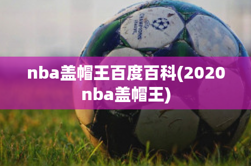 nba盖帽王百度百科(2020nba盖帽王)