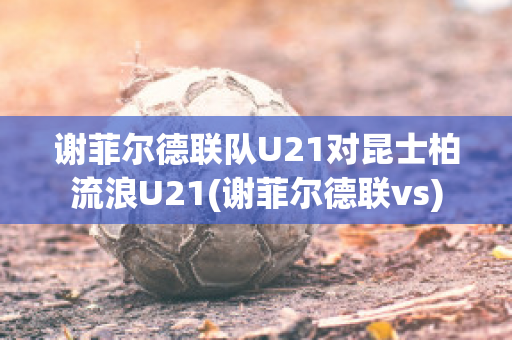 谢菲尔德联队U21对昆士柏流浪U21(谢菲尔德联vs)