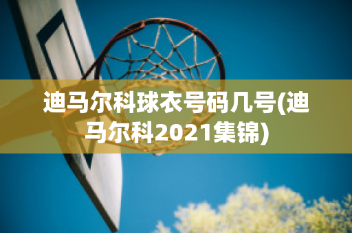 迪马尔科球衣号码几号(迪马尔科2021集锦)