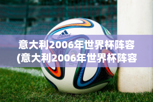 意大利2006年世界杯阵容(意大利2006年世界杯阵容表)