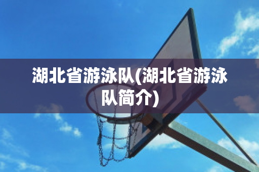 湖北省游泳队(湖北省游泳队简介)