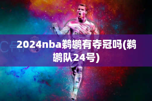 2024nba鹈鹕有夺冠吗(鹈鹕队24号)