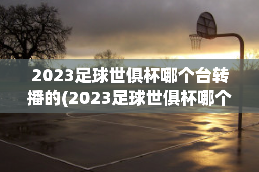 2023足球世俱杯哪个台转播的(2023足球世俱杯哪个台转播的多)