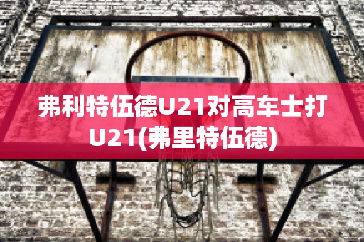 弗利特伍德U21对高车士打U21(弗里特伍德)