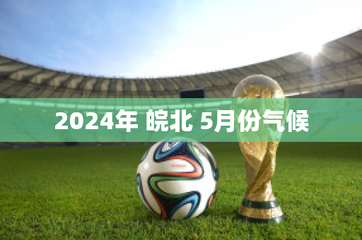 2024年 皖北 5月份气候