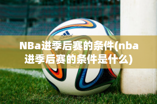 NBa进季后赛的条件(nba进季后赛的条件是什么)