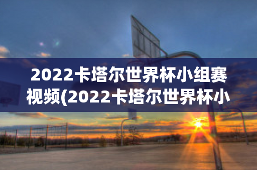 2022卡塔尔世界杯小组赛视频(2022卡塔尔世界杯小组赛视频直播)