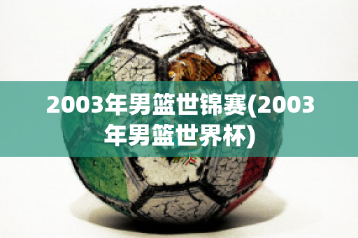 2003年男篮世锦赛(2003年男篮世界杯)