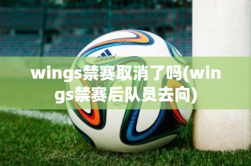 wings禁赛取消了吗(wings禁赛后队员去向)