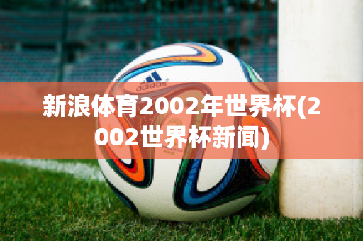 新浪体育2002年世界杯(2002世界杯新闻)