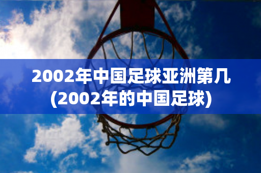 2002年中国足球亚洲第几(2002年的中国足球)