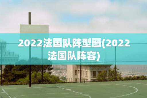 2022法国队阵型图(2022法国队阵容)