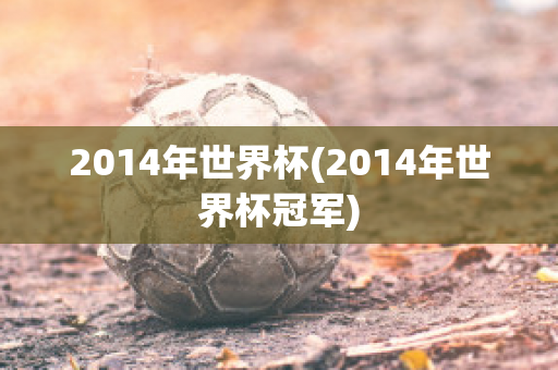 2014年世界杯(2014年世界杯冠军)