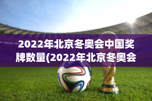 2022年北京冬奥会中国奖牌数量(2022年北京冬奥会中国奖牌数量扇形统计图)