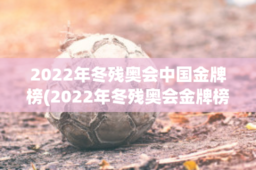 2022年冬残奥会中国金牌榜(2022年冬残奥会金牌榜和奖牌榜第一的国家是中国)