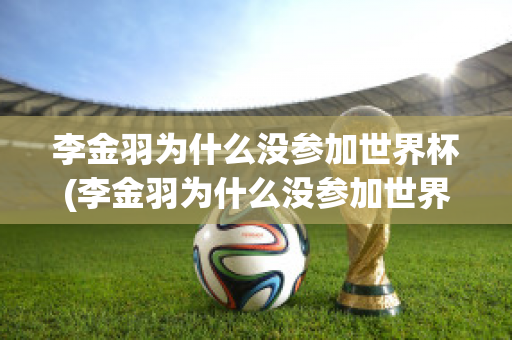 李金羽为什么没参加世界杯(李金羽为什么没参加世界杯比赛)