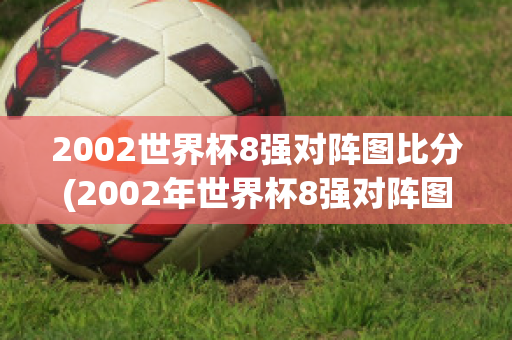 2002世界杯8强对阵图比分(2002年世界杯8强对阵图)