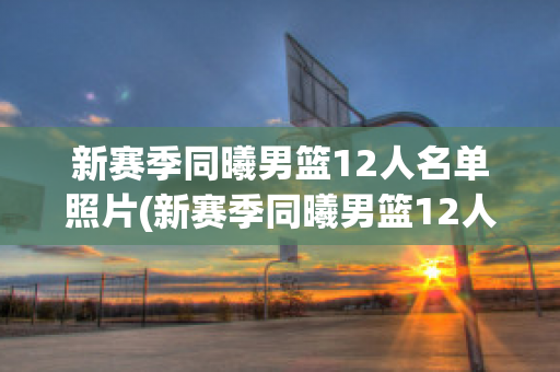 新赛季同曦男篮12人名单照片(新赛季同曦男篮12人名单照片大全)