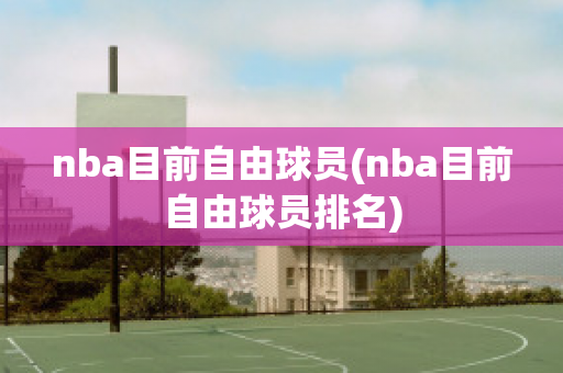 nba目前自由球员(nba目前自由球员排名)