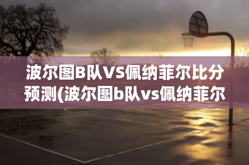 波尔图B队VS佩纳菲尔比分预测(波尔图b队vs佩纳菲尔比分预测最新)