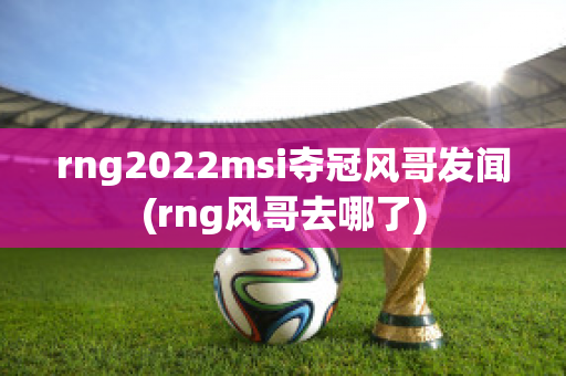 rng2022msi夺冠风哥发闻(rng风哥去哪了)