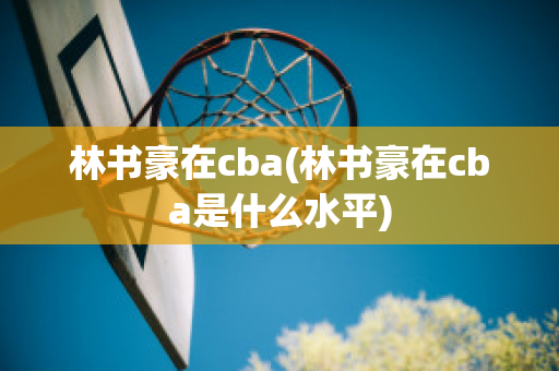 林书豪在cba(林书豪在cba是什么水平)