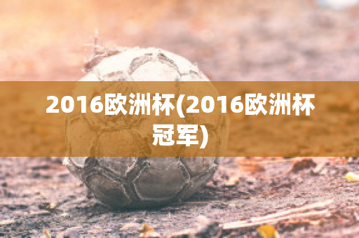 2016欧洲杯(2016欧洲杯冠军)