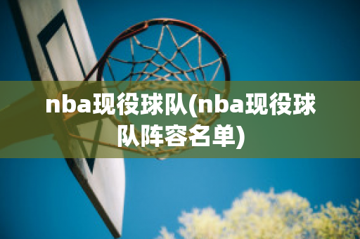 nba现役球队(nba现役球队阵容名单)