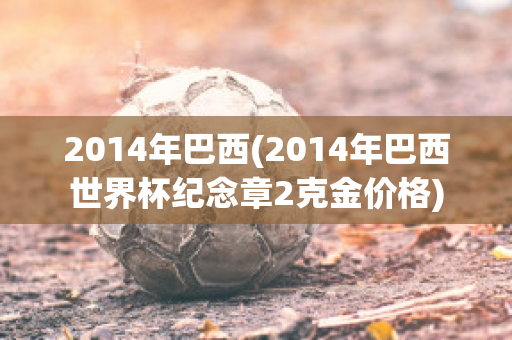 2014年巴西(2014年巴西世界杯纪念章2克金价格)