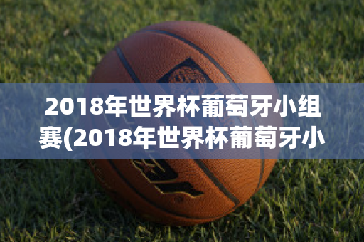 2018年世界杯葡萄牙小组赛(2018年世界杯葡萄牙小组赛对手)