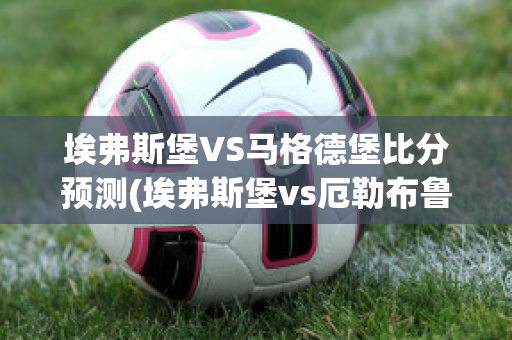 埃弗斯堡VS马格德堡比分预测(埃弗斯堡vs厄勒布鲁比分)