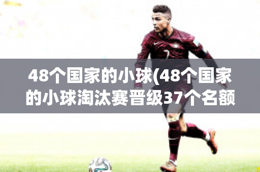 48个国家的小球(48个国家的小球淘汰赛晋级37个名额)