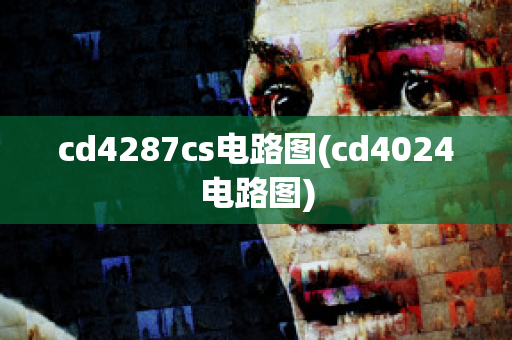 cd4287cs电路图(cd4024电路图)