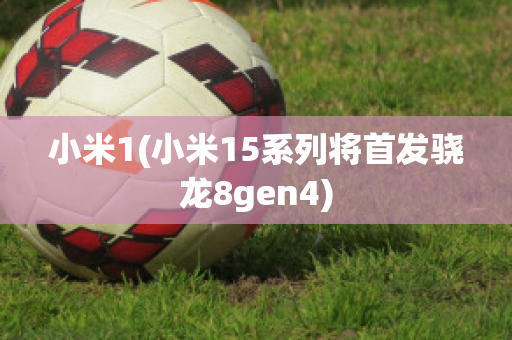 小米1(小米15系列将首发骁龙8gen4)