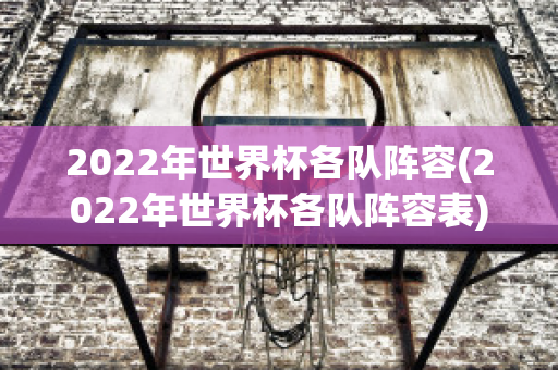 2022年世界杯各队阵容(2022年世界杯各队阵容表)