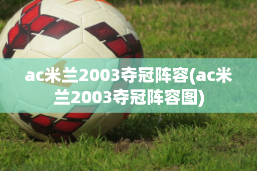 ac米兰2003夺冠阵容(ac米兰2003夺冠阵容图)