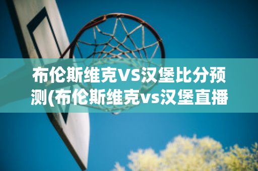 布伦斯维克VS汉堡比分预测(布伦斯维克vs汉堡直播)