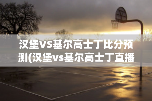 汉堡VS基尔高士丁比分预测(汉堡vs基尔高士丁直播)