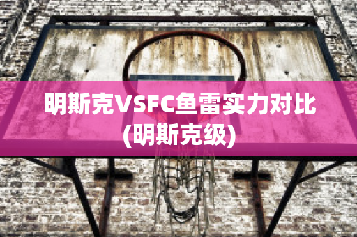 明斯克VSFC鱼雷实力对比(明斯克级)