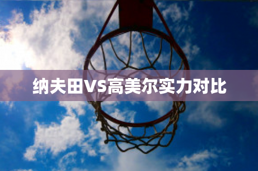 纳夫田VS高美尔实力对比