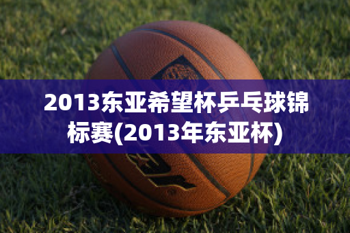 2013东亚希望杯乒乓球锦标赛(2013年东亚杯)