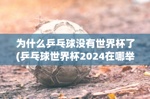 为什么乒乓球没有世界杯了(乒乓球世界杯2024在哪举行)