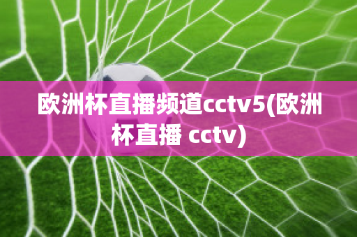 欧洲杯直播频道cctv5(欧洲杯直播 cctv)