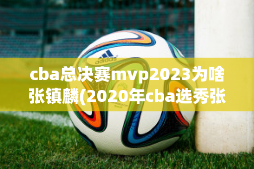 cba总决赛mvp2023为啥张镇麟(2020年cba选秀张镇麟)