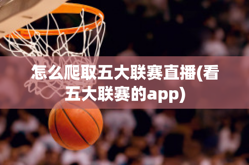 怎么爬取五大联赛直播(看五大联赛的app)