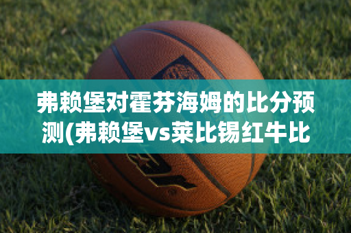 弗赖堡对霍芬海姆的比分预测(弗赖堡vs莱比锡红牛比分预测)