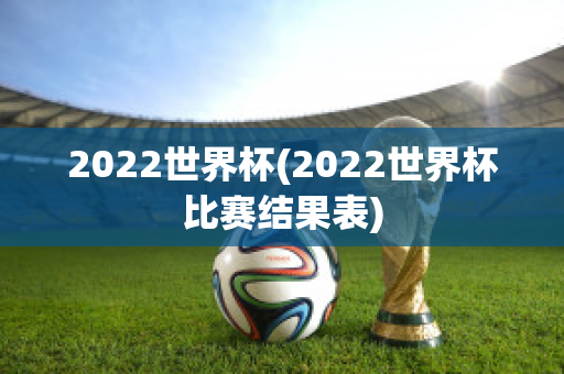 2022世界杯(2022世界杯比赛结果表)